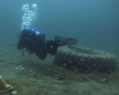 Sculpin following Claire.. Diving the Whale Bones at South Dildo