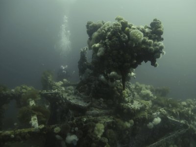 SS Lord Strathcona, sunk September 5, 1942