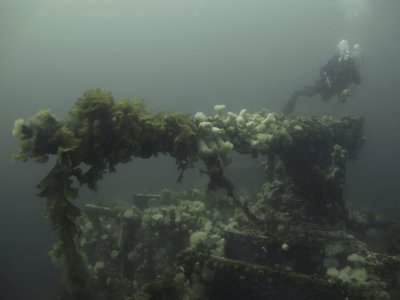 SS Lord Strathcona, sunk September 5, 1942