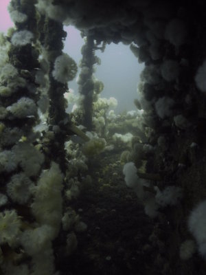 Love the passageways... SS Lord Strathcona, sunk September 5, 1942