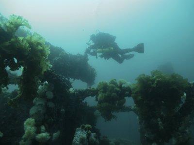 SS Lord Strathcona, sunk September 5, 1942