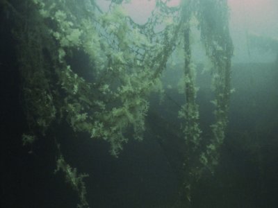 This is not a good pic.. but use your imagination? This was netting draped on the Rosecastle, and covered in red soft coral :)