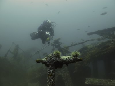 PLM-27.. the shallowest Bell Island wreck