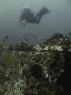 PLM-27.. the shallowest Bell Island wreck