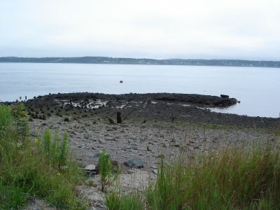 Dive site at Sea Street  (Low Tide wall view)