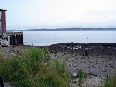 Dive site at Sea Street (Low Tide)