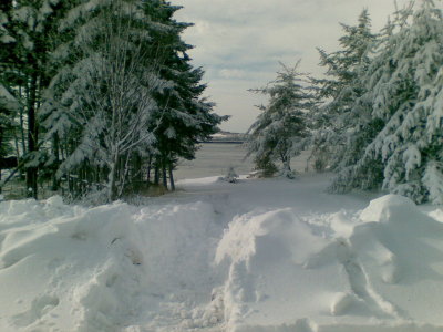 New Years Day - we shovelled a path to the dive site.. determined!