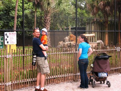 Discovering the Naples Zoo