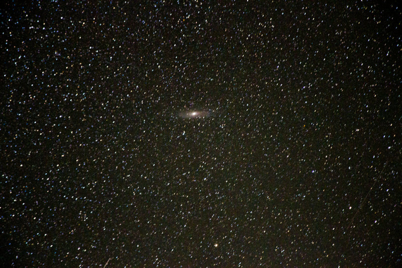 M31 (Andromeda Galaxy)