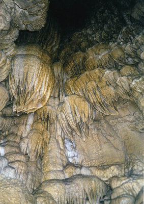 oregon caves