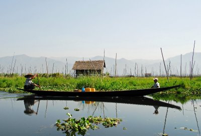 Boat and floating garden