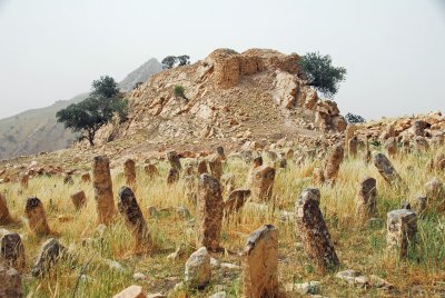 Graveyard and Dwins Castle, said to date from the time of Salah al-Din.