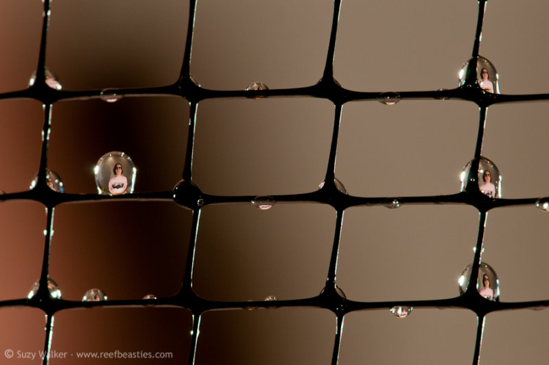 Self Portrait in water drops
