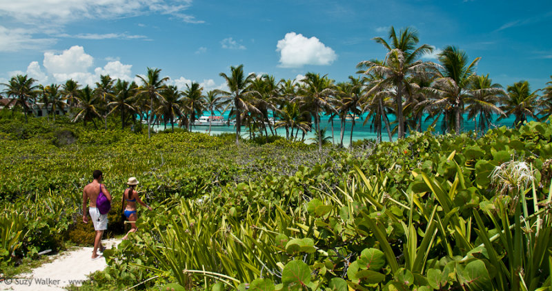 Isla Contoy 4