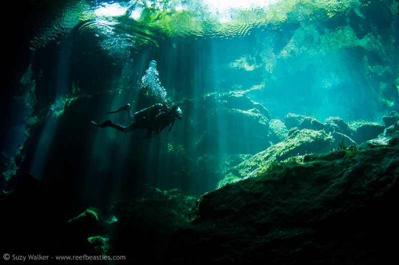 Kukulkan Cenote 12