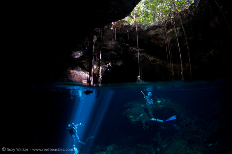 Taj Mahal Cenote Split with Alex & Eleo