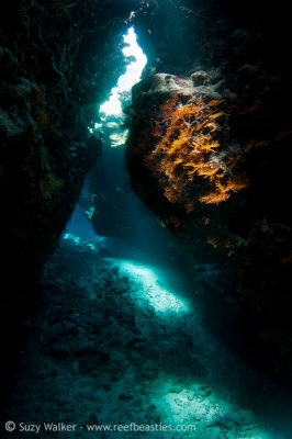 Caves 15