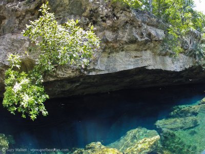 Kukulkan Cenote 4