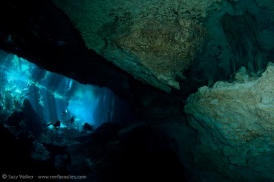 Kukulkan Cenote 10