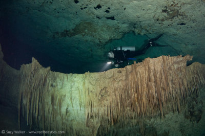 Mike inside Chac Mool Cenote