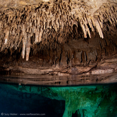 Chac Mool Cenote air pocket