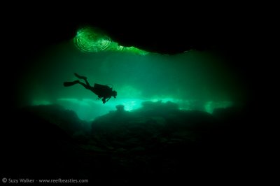 Chac Mool Cenote