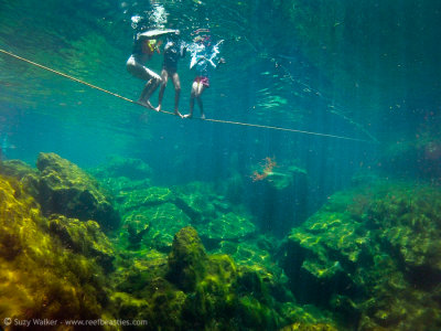 Standing on a rope, Eden Cenote