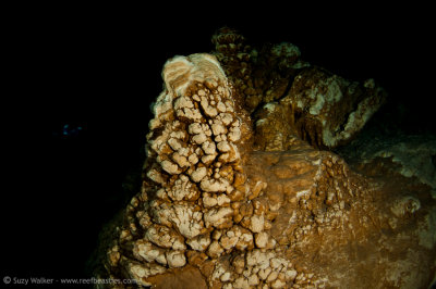 Popcorn? At Taj Mahal Cenote