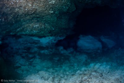 Halocline at Taj Mahal Cenote