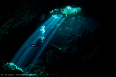 Taj Mahal Cenote with Eleo