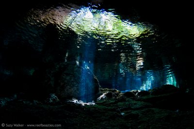 Taj Mahal Cenote near the entrance