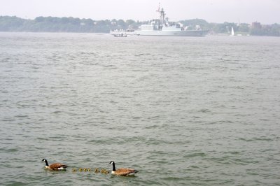 HMCS IROQOIS and their geese too....