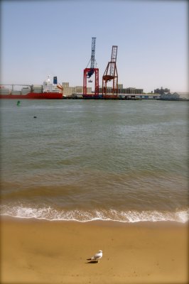 Beach, Boats & Gull