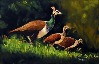 PEA HEN AND FAMILY