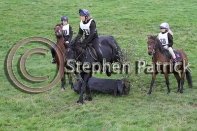 strothers_2011