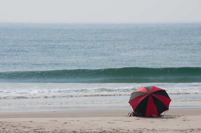 DSC_2302.jpg: Beach Umbrella