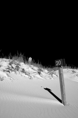 DSC_1852.jpg: Beach Access Point #20
