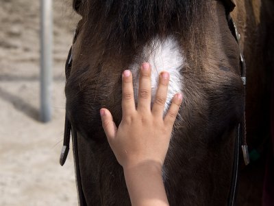 A Young Fan Makes a New Friend at Parx Racing