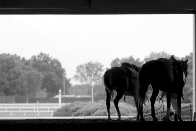 The Breezeway at Monmouth Park