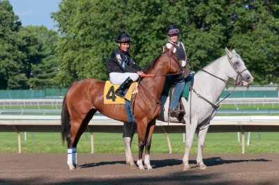 A Pause Before Moving Into The Starting Gate