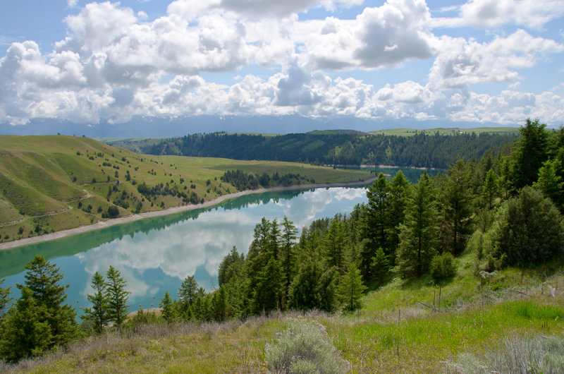 Flathead River Above Kerr Dam