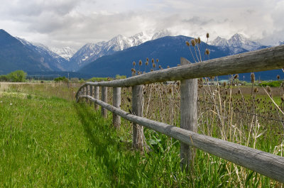 The Mission Mountains - Ninepipe Wildlife Refuge