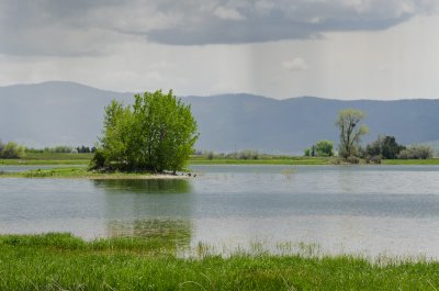 Eagle Nest