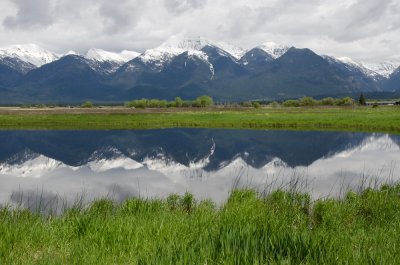 Mission Reflection
