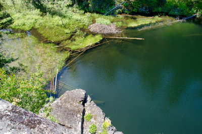 Inlet From Another Lake - Beaver Dam