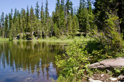 FInger Lake