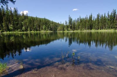 Glassy Serenity