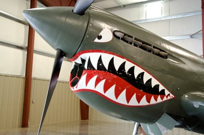 Curtiss P40 Kittyhawk - Grrrrr