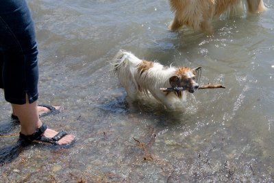 Chauncy with Stick