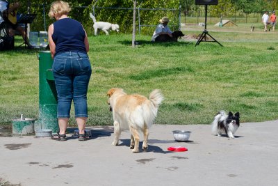 At The Dog Park